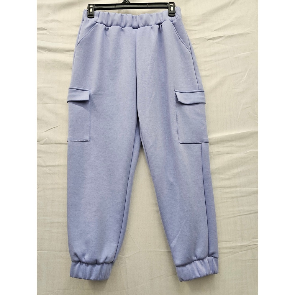 Express Womens Cargo Jogger Pants Purple Polyester Blend Casual Size Large